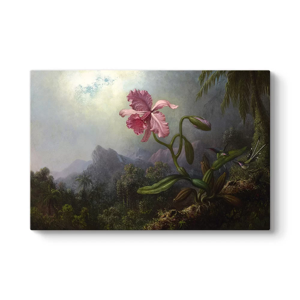 Martin Johnson Heade - Sinek Kuşları ve Orkide Tablosu - Model 1
